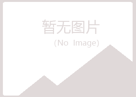 河池灵雁邮政有限公司